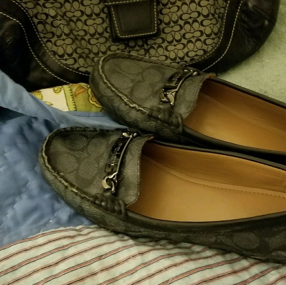 Coach flats - Picture 3 of 3
